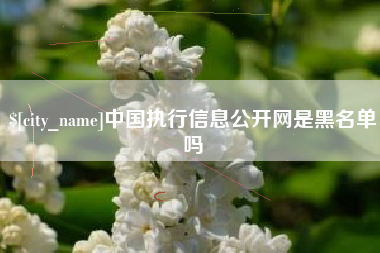 建湖中国执行信息公开网是黑名单吗