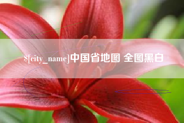 建湖中国省地图 全图黑白