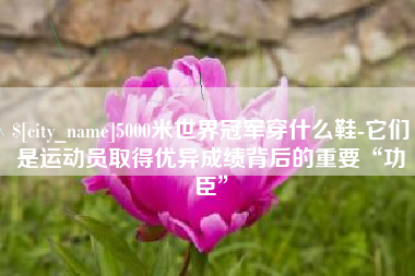 建湖5000米世界冠军穿什么鞋-它们是运动员取得优异成绩背后的重要“功臣”