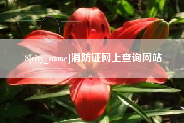 建湖消防证网上查询网站