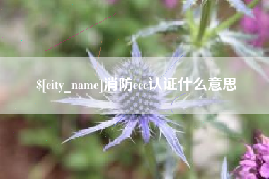 建湖消防ccc认证什么意思