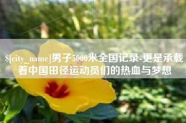 建湖男子5000米全国记录-更是承载着中国田径运动员们的热血与梦想
