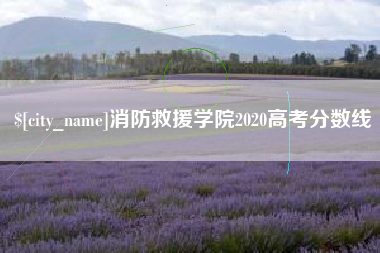 建湖消防救援学院2020高考分数线