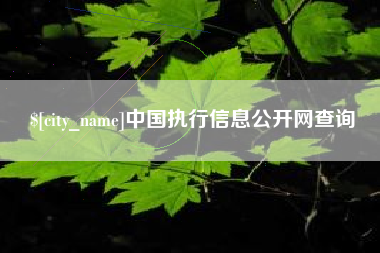 建湖中国执行信息公开网查询