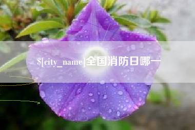 建湖全国消防日哪一