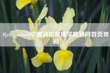 建湖中国消防救援学院官网首页查询