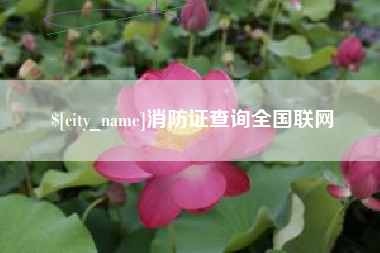 建湖消防证查询全国联网
