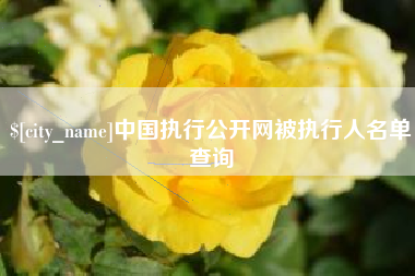 建湖中国执行公开网被执行人名单查询