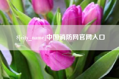 建湖中国消防网官网入口