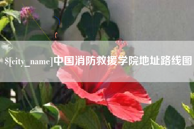 建湖中国消防救援学院地址路线图