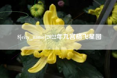 建湖2022年九宫格飞星图