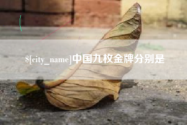 建湖中国九枚金牌分别是
