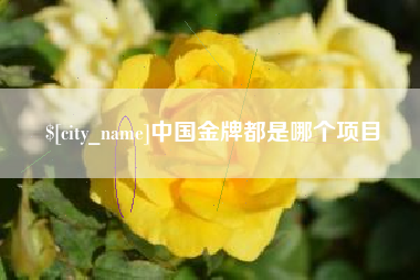 建湖中国金牌都是哪个项目