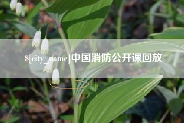 建湖中国消防公开课回放