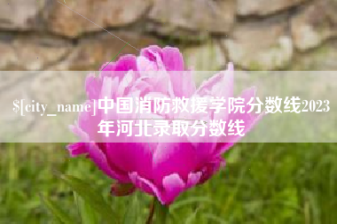 建湖中国消防救援学院分数线2023年河北录取分数线