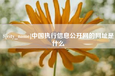 建湖中国执行信息公开网的网址是什么
