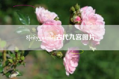 建湖古代九宫图片