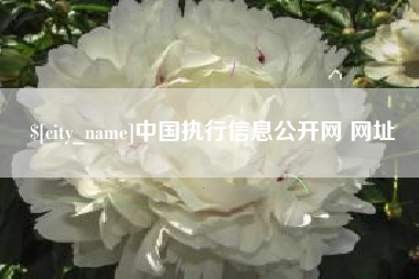 建湖中国执行信息公开网 网址