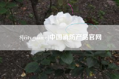 建湖中国消防产品官网