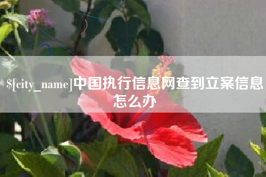 建湖中国执行信息网查到立案信息怎么办