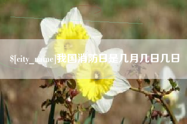 建湖我国消防日是几月几日几日