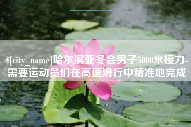 建湖哈尔滨亚冬会男子5000米接力-需要运动员们在高速滑行中精准地完成