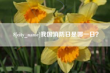 建湖我国消防日是哪一日？