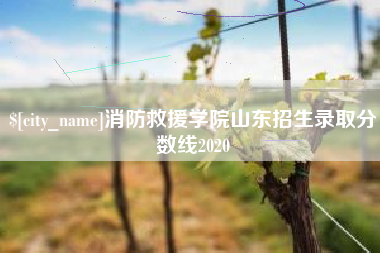 建湖消防救援学院山东招生录取分数线2020