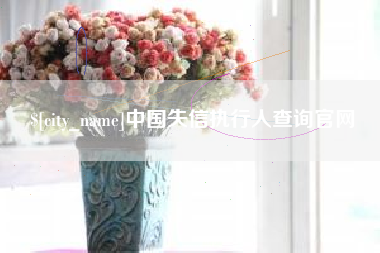 建湖中国失信执行人查询官网