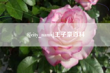 建湖王子豪百科