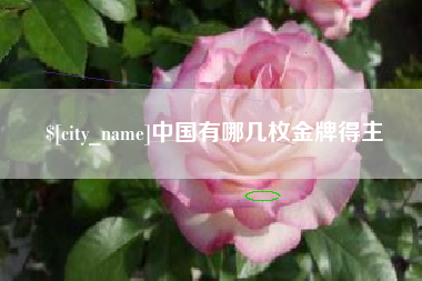 建湖中国有哪几枚金牌得主