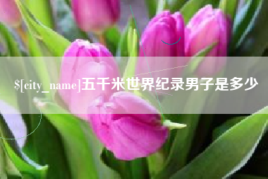 建湖五千米世界纪录男子是多少