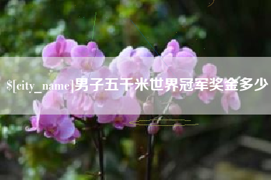 建湖男子五千米世界冠军奖金多少
