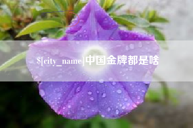 建湖中国金牌都是啥
