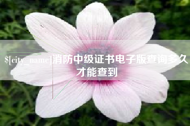 建湖消防中级证书电子版查询多久才能查到