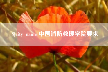 建湖中国消防救援学院要求
