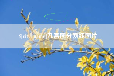 建湖九宫图分割线图片