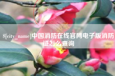 建湖中国消防在线官网电子版消防证怎么查询