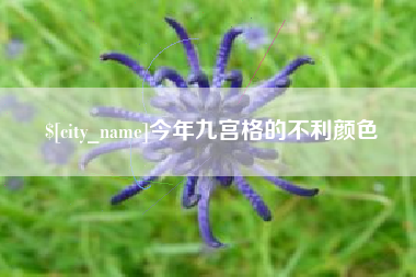 建湖今年九宫格的不利颜色
