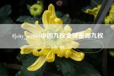 建湖中国九枚金牌是哪九枚