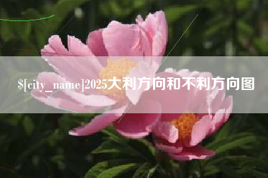 建湖2025大利方向和不利方向图