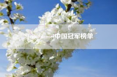 建湖中国冠军榜单