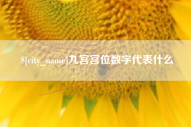 建湖九宫宫位数字代表什么