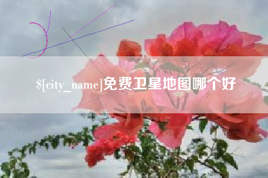 建湖免费卫星地图哪个好