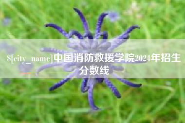 建湖中国消防救援学院2024年招生分数线