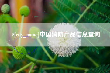 建湖中国消防产品信息查询