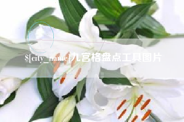 建湖九宫格盘点工具图片