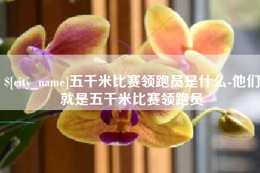 建湖五千米比赛领跑员是什么-他们就是五千米比赛领跑员