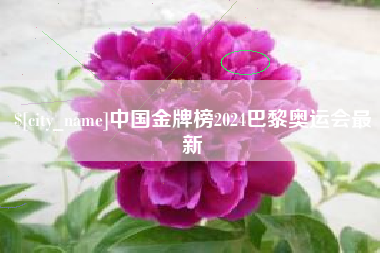 建湖中国金牌榜2024巴黎奥运会最新