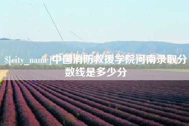 建湖中国消防救援学院河南录取分数线是多少分